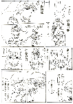 漫画22