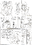 漫画23