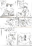 漫画24