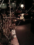 090219_2337~01.JPG