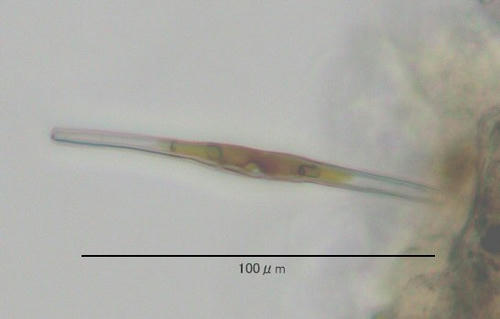 image6.jpg