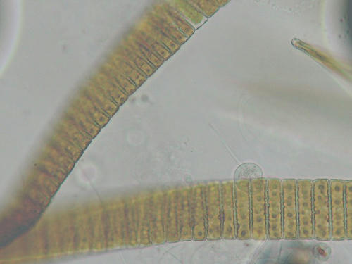 110101g.jpg