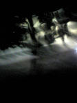 Image424.jpg