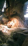 090418_120652.JPG