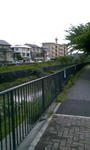 090506_182006.JPG