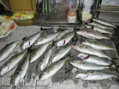 P1010014.jpg