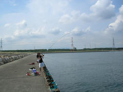 d58798ef.jpg