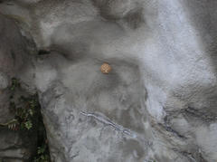 PA280013.jpg
