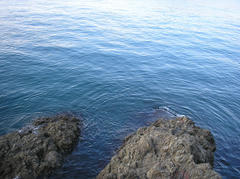 PA280006.jpg