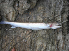 PB040003.jpg