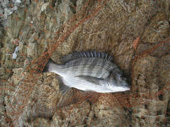 PB040001.jpg