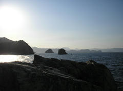 P1010017.jpg