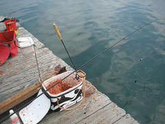 P3090001.jpg