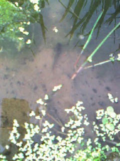 070617_1504~0001.jpg