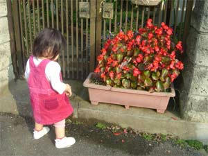 DSC07283.jpg
