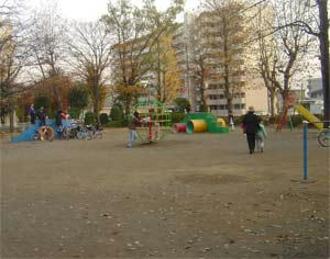 DSC08001.jpg