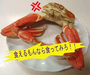 DSC08212.jpg