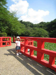 hashi.jpeg