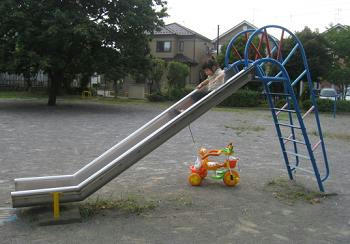 suberidai.JPG