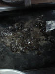P1000003.JPG