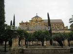 メスキータもしくは聖マリア大聖堂(Catedral de Santa Mar・a de C・rdoba)の中庭2