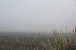 篠山の濃霧（2011.10.18）