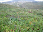 ロカ岬（Cabo da Roca）