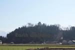 越前大野城