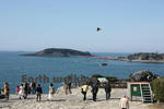 雄島