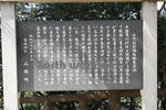 東尋坊