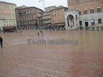 シエーナ (Siena)のカンポ広場（Piazza del Campo）