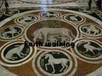 シエーナ大聖堂（Duomo di Siena）