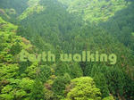 奈良の山々の緑