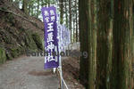 駐車場から玉置神社へと続く道