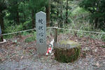 十津川村指定天然記念物の枕状熔岩