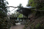 玉置神社
