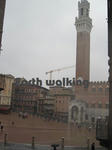 シエーナ (Siena)のカンポ広場（Piazza del Campo）