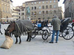 フィレンツェ（Firenze、Florence）の馬車