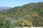 岐阜県県北の紅葉