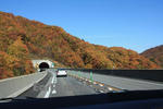 岐阜県県北の紅葉