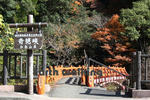 奇絶峡の滝見橋