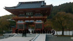 勝尾寺