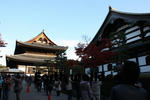 東福寺の境内