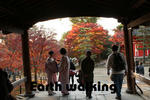 東福寺の紅葉