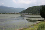 三方五湖