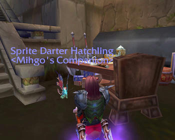 話し相手が出来ました