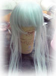 syokumou05.jpg