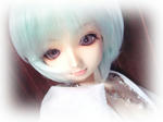 syokumou00.jpg