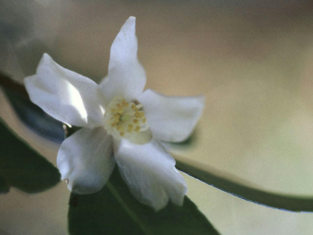 20041203024957.jpg