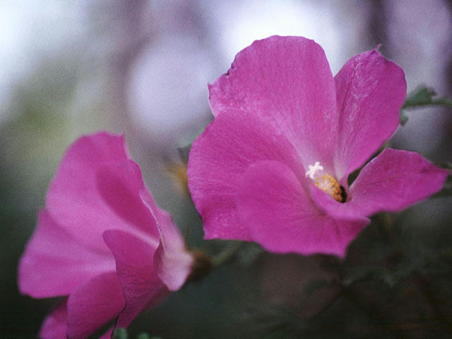 20041219204103.jpg